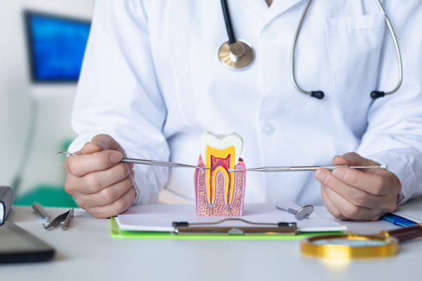 Best Emergency Dental Care for Trauma or Injury in Summersville, WV